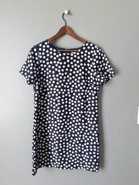 J. Crew Navy and White Polka Dot Dress